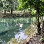 🌿 *12 Acres of Pure Belizean Paradise — Citrus Orchard (a small one), Pasture, Hills & Seasonal Creek!* 🌿   *Off-Grid Beauty Just Minutes from the Scenic Hummingbird Highway.