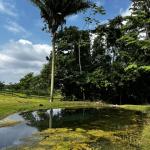 81 acres near Belmopan, in Agua Viva, creek, pastures and jungle with insane views!