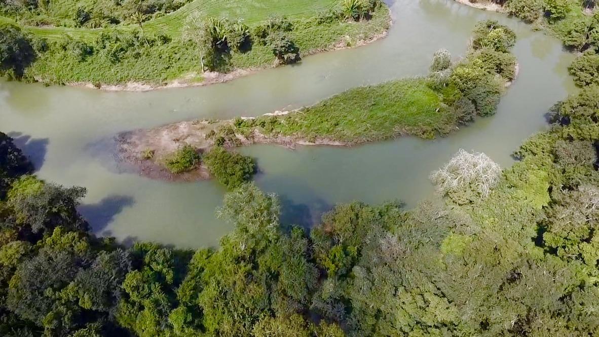 Almost 40 acres of beautiful land along Belize River on the Young Gal road, 15 minutes from the George Price Highway