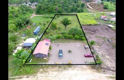 1 acre lot with a house and fruit trees